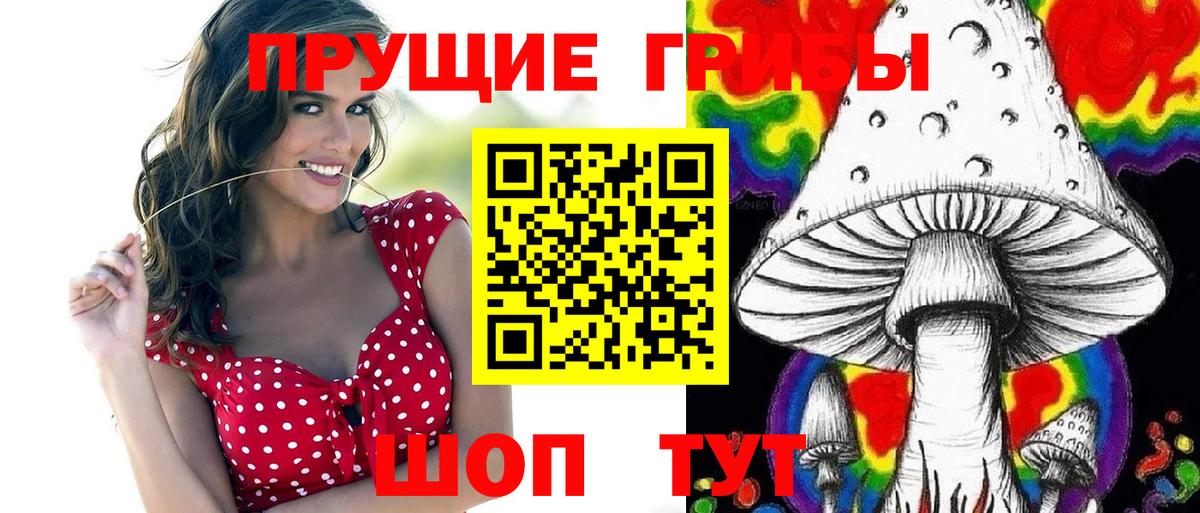 Выборг  Галлюциногенные грибы Cubensis  Вход с VPN 